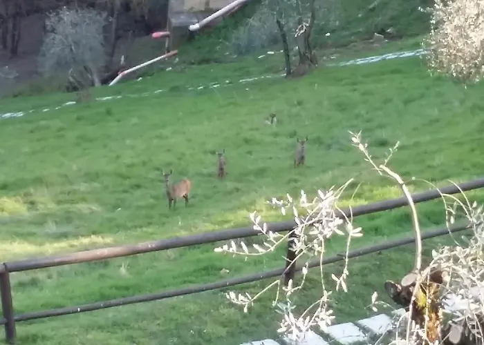 Porta Romana - Lucehotels Готель Сієна