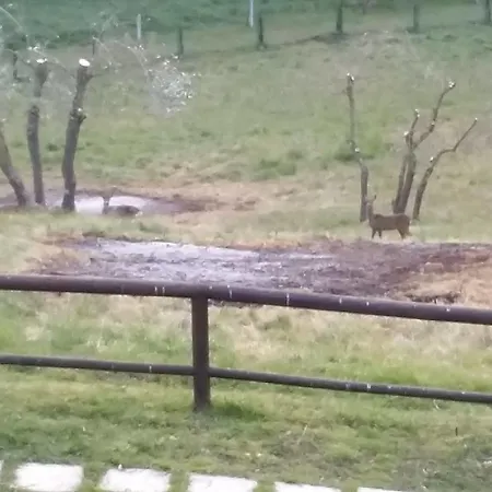 Porta Romana - Lucehotels Готель