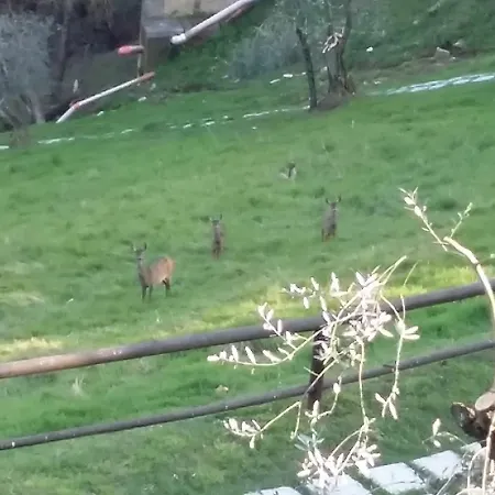 Porta Romana - Lucehotels Ξενοδοχείο Σιένα