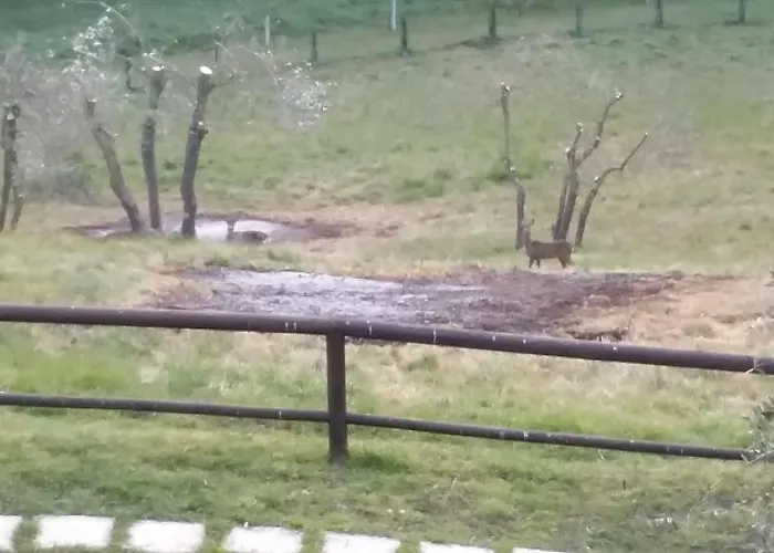 Porta Romana - Lucehotels Hotel