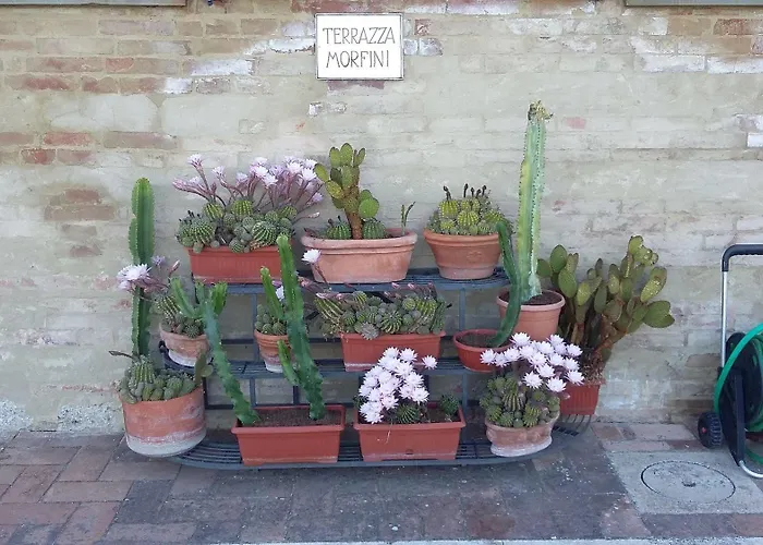 Hotel Porta Romana - Lucehotels